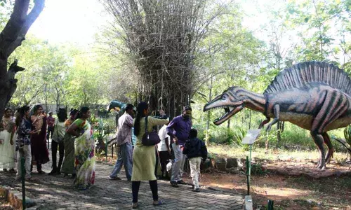 Visitors at the prehistoric life park