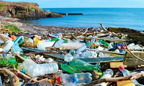 Representational Image