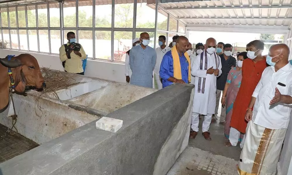 DRDO chairman G Satheesh Reddy during a visit to TTD Goshala at Tirumala on Sunday. TTD EO KS Jawahar Reddy, Additional EO A V Dharma Reddy and others are also seen.