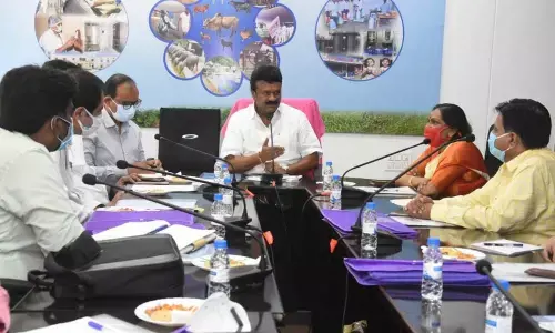 Telangana has 1.92 crore sheep, Talasani Srinivas Yadav informs NCDC