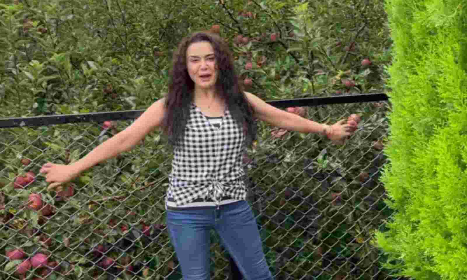 Preity Zinta Takes Us To The Tour Of Her Picturesque Apple Farm In Himachal  Pradesh