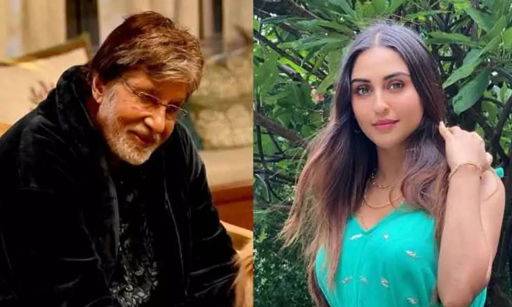 Krystle shares her ice-breaking moment with Big B