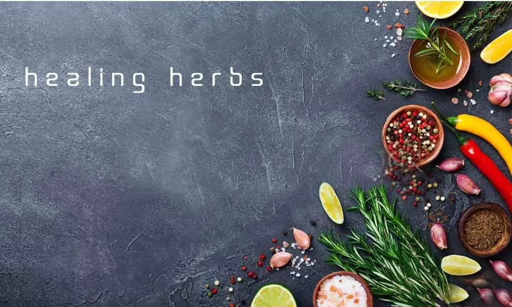 Stock up your kitchen with healing herbs