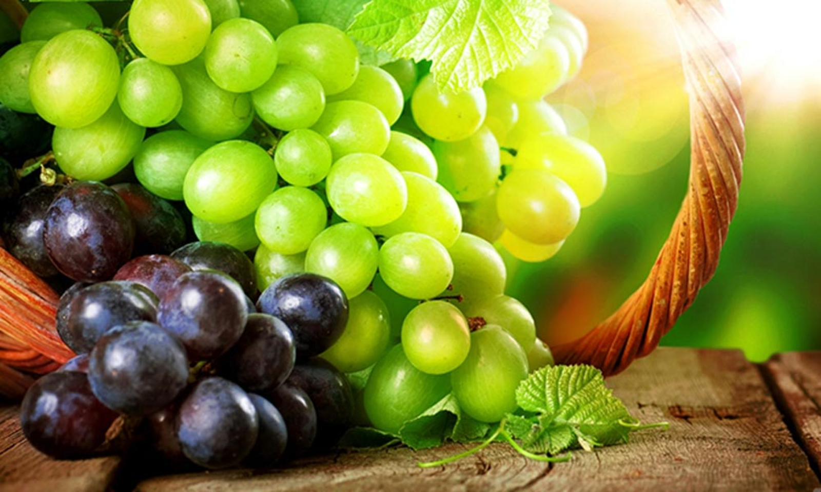 Why a grape is called Queen of Fruits?