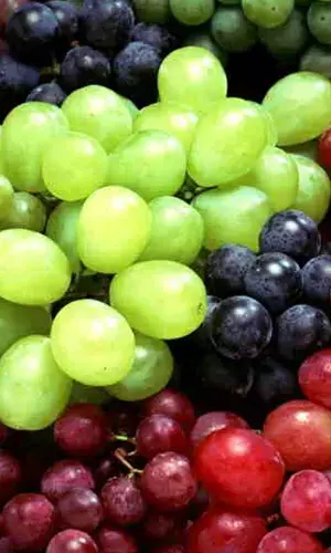 Why a grape is called Queen of Fruits?