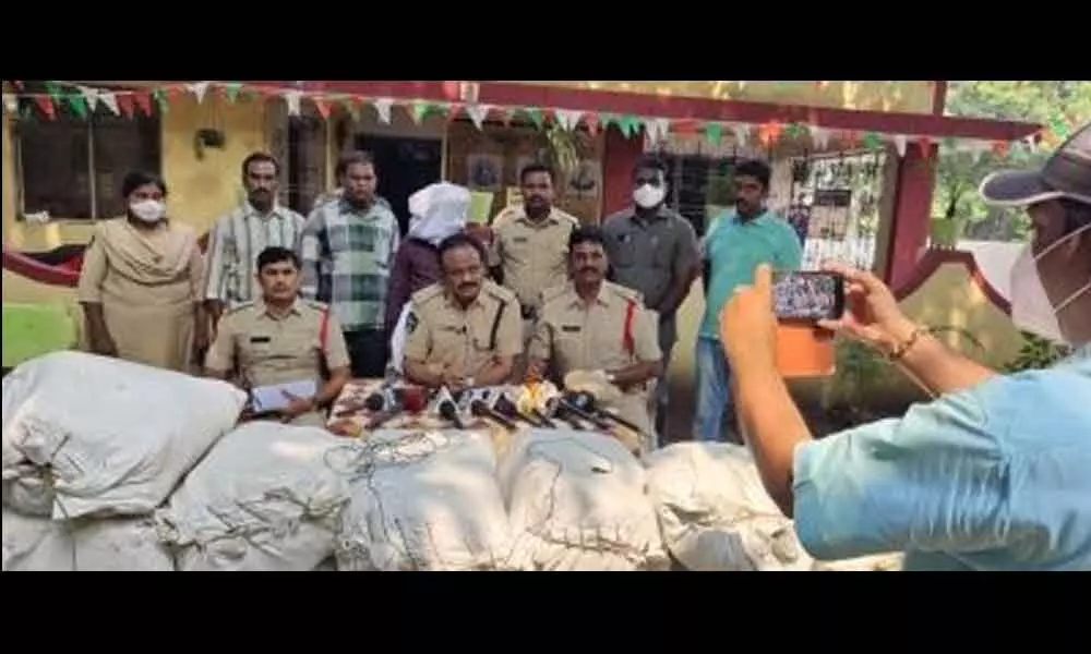 Police seize 620 kg marijuana on way to Maharashtra, arrest one
