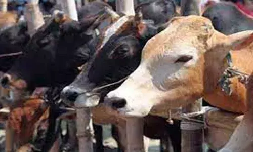 Representational Image