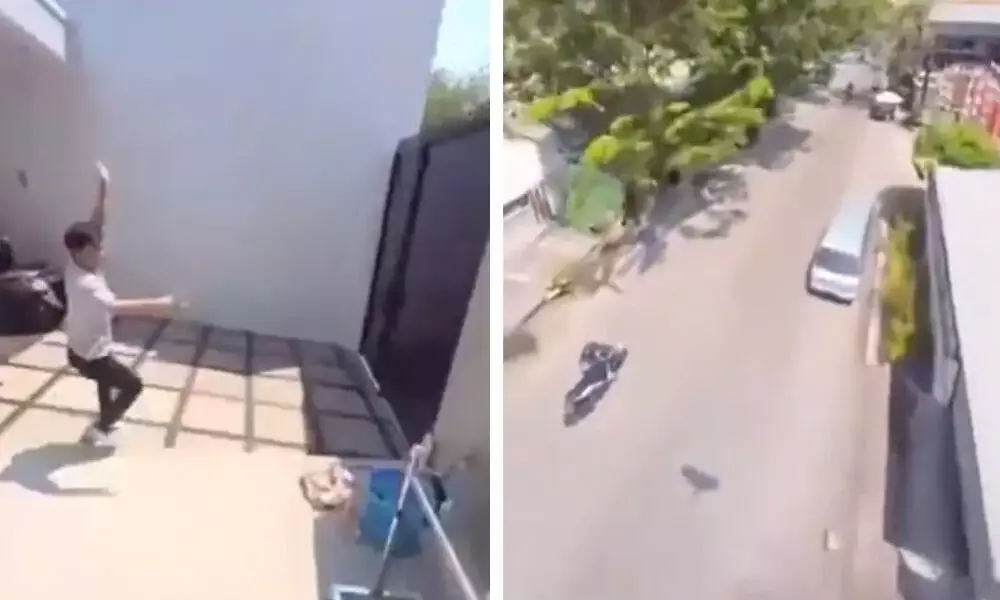Watch The Trending Video Of A Parrot Flying  Away Along With Phone