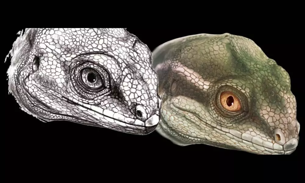 Fossilized Ancestor Including All Scaled Reptiles Discovered By Scientists