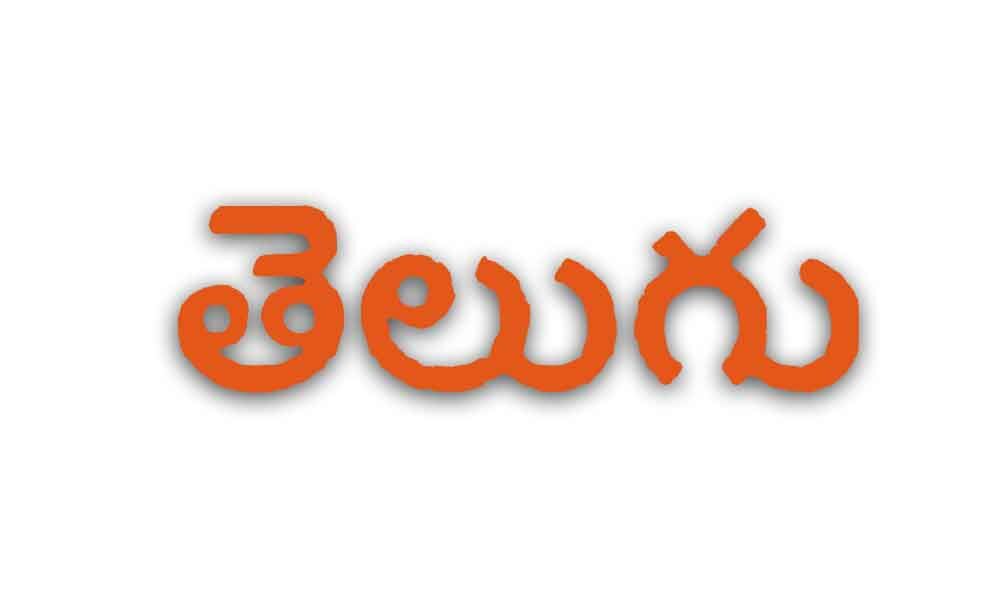 Let Telugu Take Pride Of Place