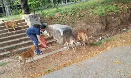 Canine love in times of Coronavirus