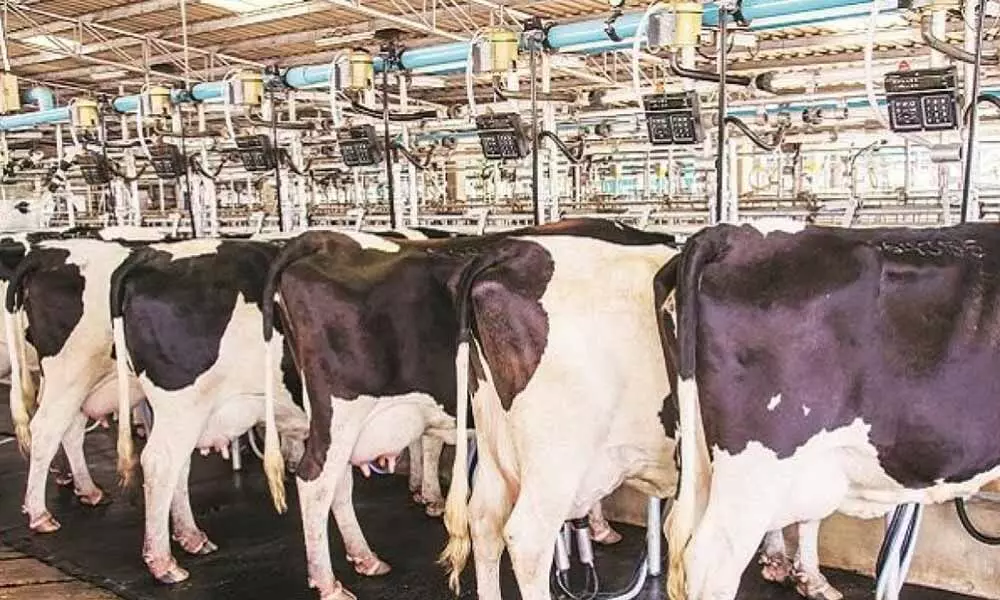 Dalit Bandhu to propel auto, dairy industries’ growth