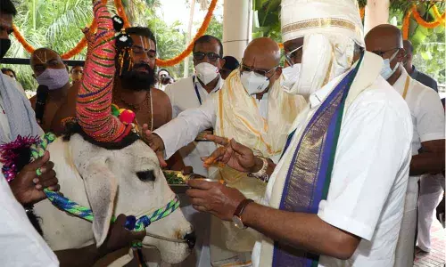 TTD Chairman Y V Subba Reddy and EO Dr K S Jawahar Reddy offering harati to a cow as part of Gokulashtami celebrations, at SV Goshala in Tirupati on Monday