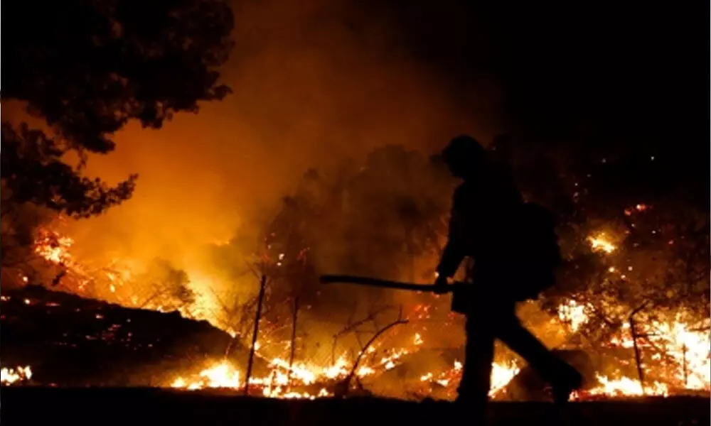 All California national forests to be closed due to wildfires