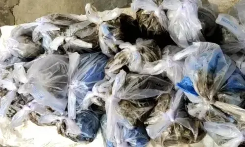 Liquid ganja seized by the Excise police in Visakhapatnam on Tuesday