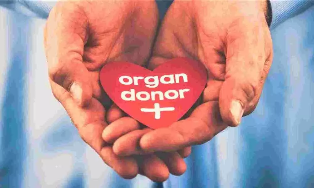 Organ Donation (Representational Image)