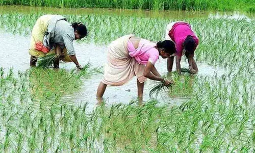 Telangana makes big strides in economy