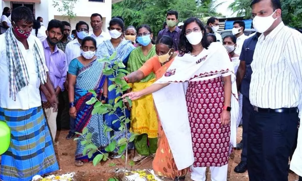 District Collector Nagalakshmi Selvarajan planting a sapling on the premises of village secretariat at Rekulakunta village in Anantapur on Thursday