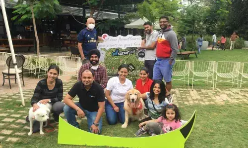 Supertails teaches you how to care for your pets