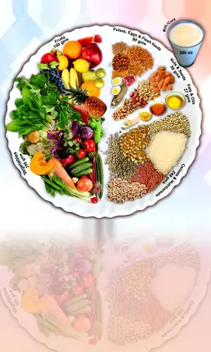 My Plate for the Day Helps Promote Health & Prevent Hidden Hunger & Diseases