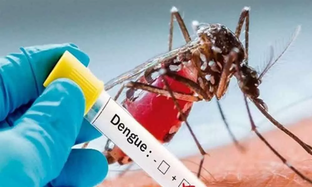 39 students of residential school suffer from dengue