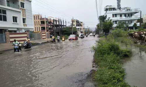 The flooded Ratnagiri Nagar road at Palakaluru in Guntur on Sunday