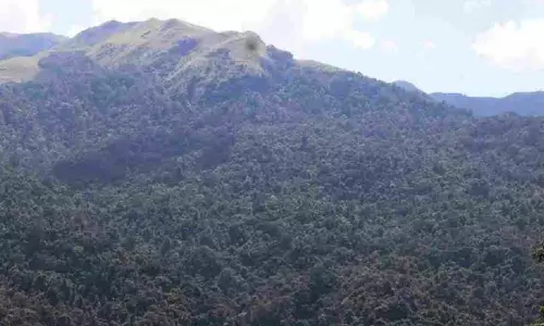 Forest Conservation Act in way of construction of road