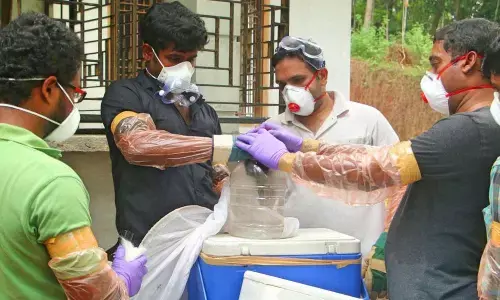 Nipah Surveillance At The Kerala Border Has Been Increased By Karnataka Government