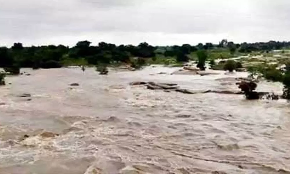 11 shepherds stranded in Manjira river in Kamareddy
