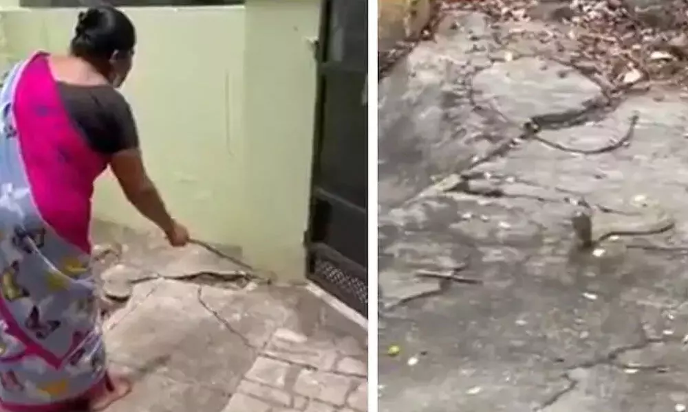 The screengrabs show the woman nudging the snake to go outside her house.