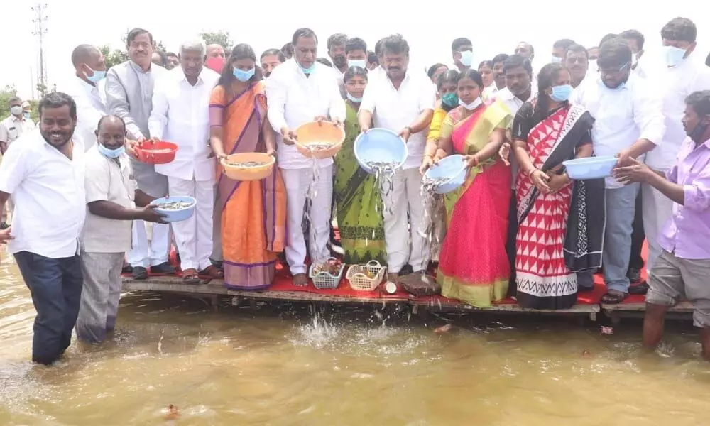 Malla Reddy, Talasani Srinivas Yadav release fish seed in Shamirpet lake