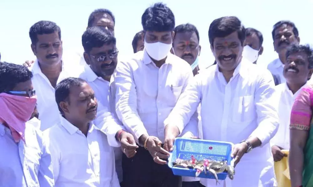 Minister Vemula Prashant Reddy and Collector Narayana Reddy releasing fish seed in Nagpur SRSP backwaters
