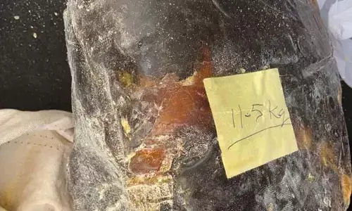 Four held for trying to sell whale ambergris worth crores