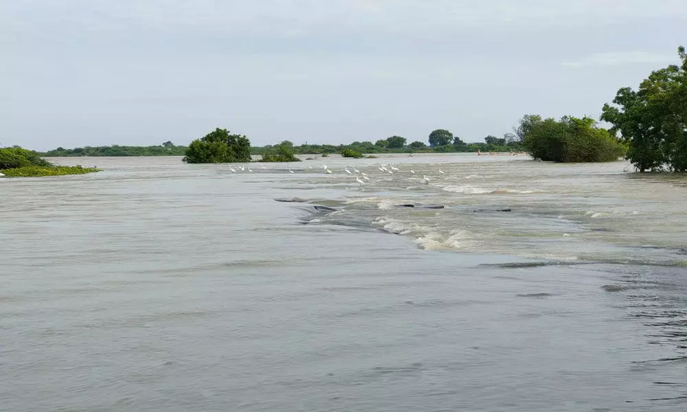 Flooding forces closure of inter-state highway in Nizamabad