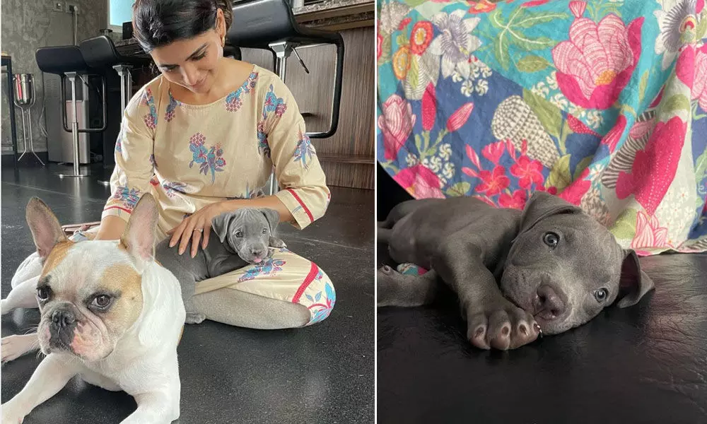 Samantha welcomed the little one Saasha to her family