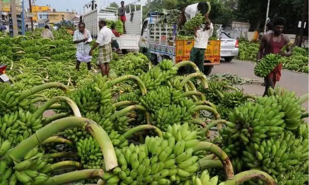 Banana market in Anantapur