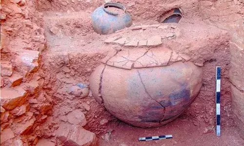 Rice with soil from a burial urn found at Sivakalai Sivakalai in Tamil Nadu’s Thoothukudi district was taken for carbon dating analysis.