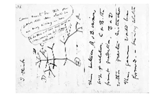 Global drawing project prompted by a Darwinian sketch