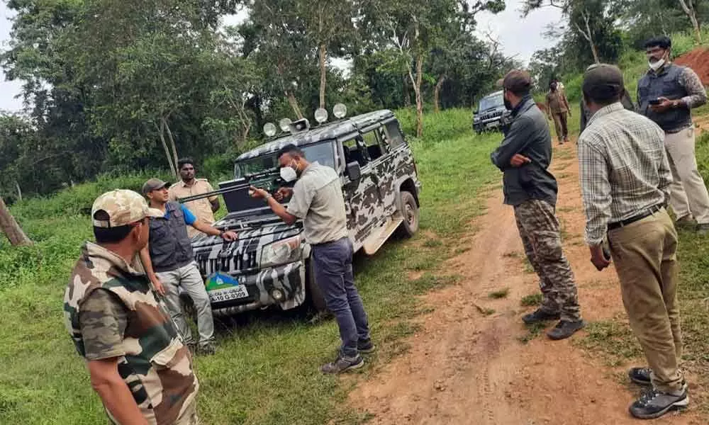 Forest dept on hunt for tiger that killed boy