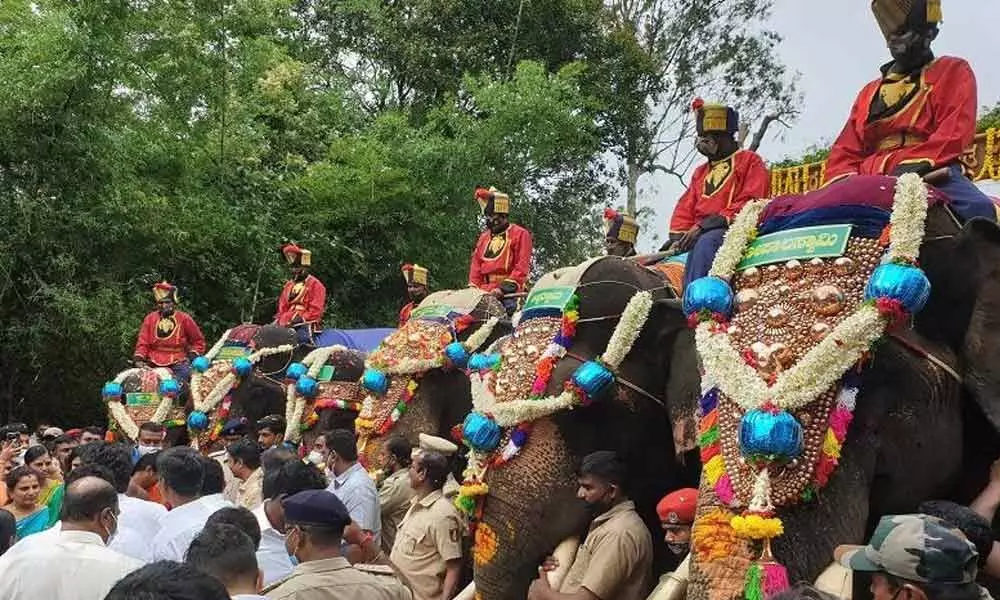 Eight elephants sent to Mysuru for Dasara festivities