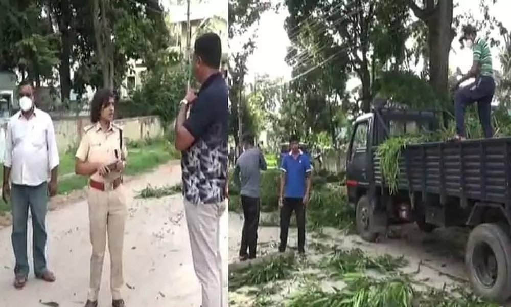 Mandya SP gets trees cut in her residence without forest dept’s nod, kicks up row