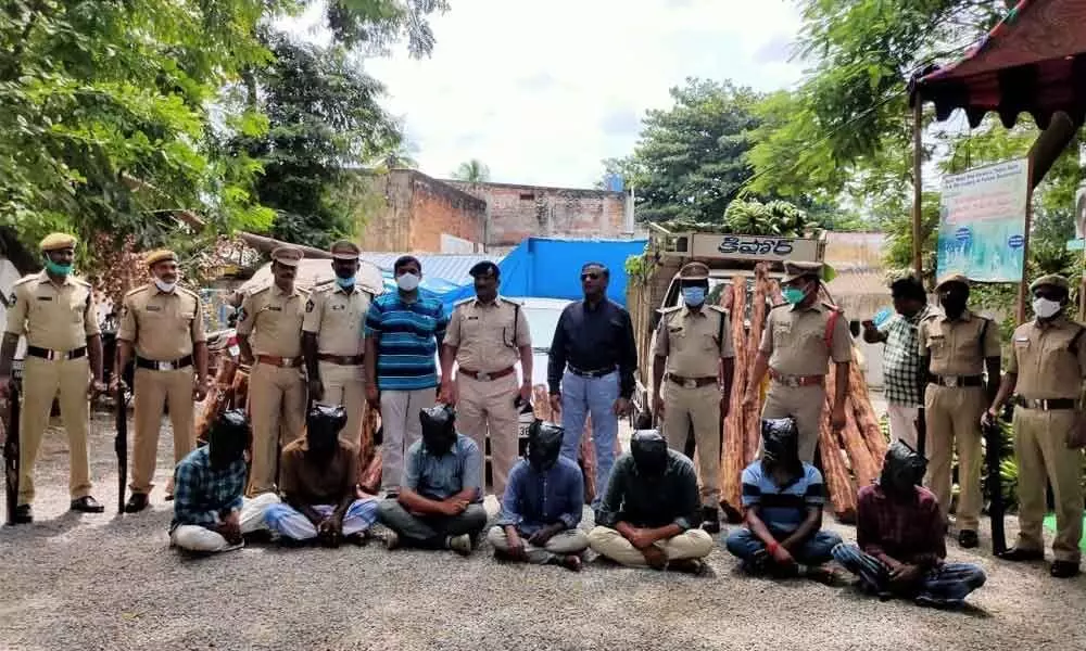 Red Sanders Anti-Smuggling Task Force sleuths producing the  7-member gang and recovered red sanders logs before media in Kadapa on Wednesday