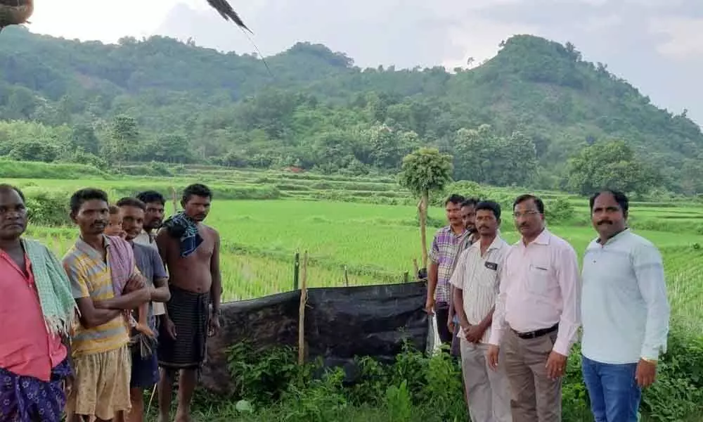 DPM K Prakash, Agriculture officer D Shyamsundar interacting with the organic farmers in Parvathipuram Agency on Wednesday