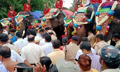 Mysuru: Dasara jumbos insured for 25 lakh