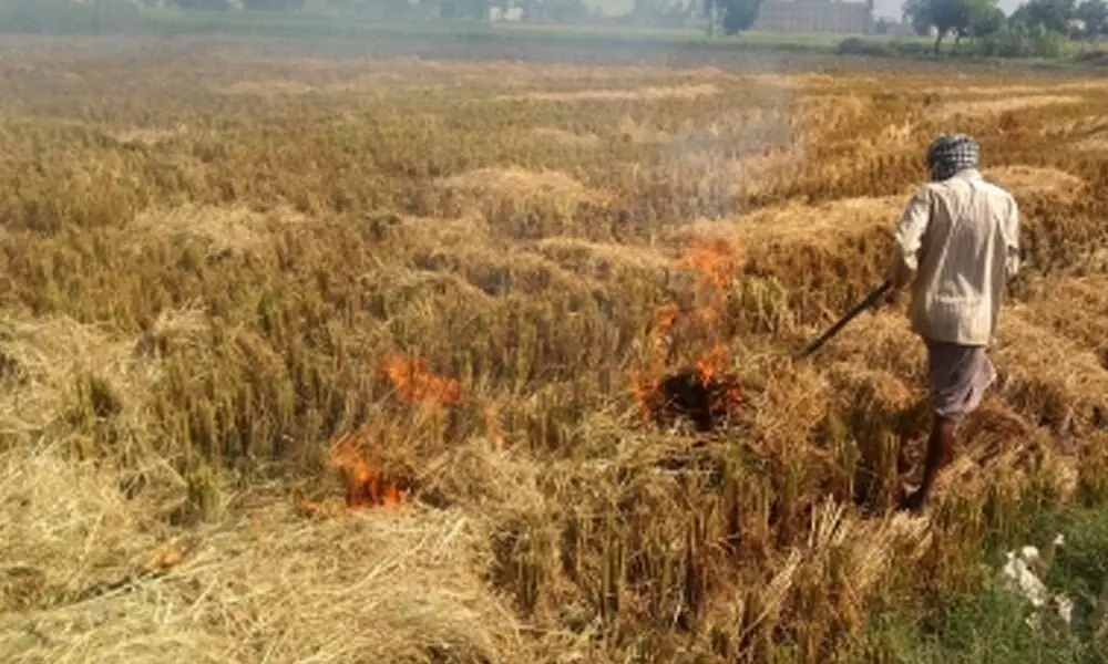 Yogi government withdraws 868 stubble burning cases against farmers