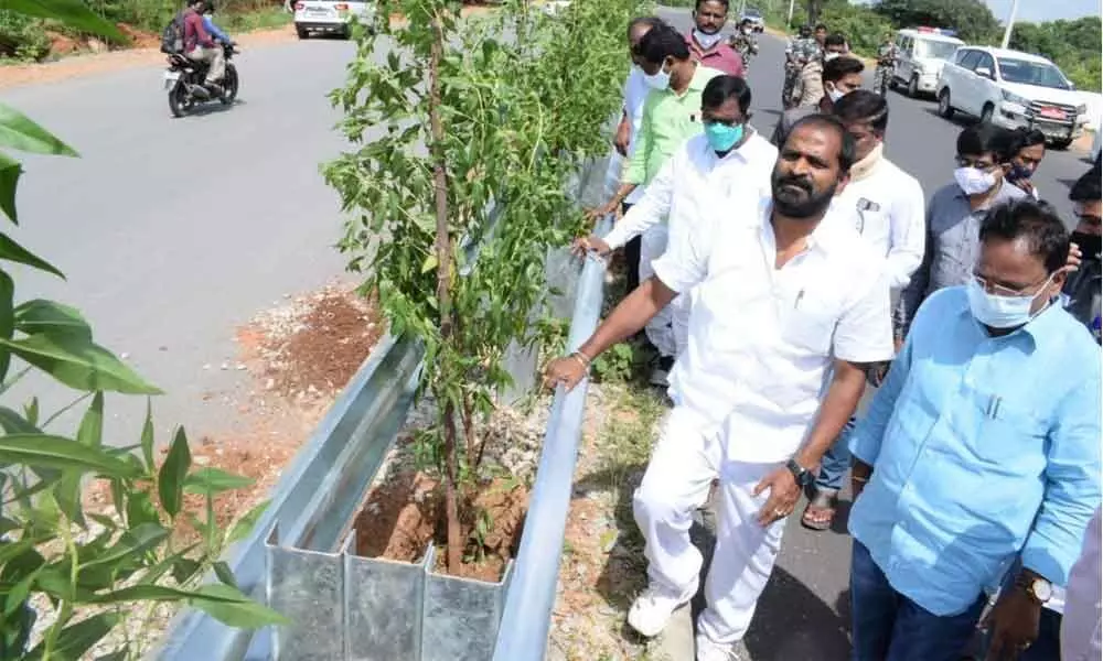 Excise and Prohibition Minister Dr. V Srinivas Goud planting trees along the Jadcherla-Mahabubnagar 4-lane stretch on Friday