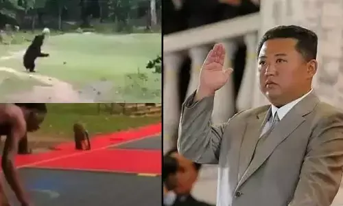 Top Trending Videos  Of The Week