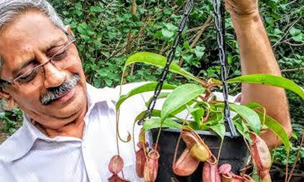 Founder-president of DNCS M Rama Murty explaining the features of insectivorous plants at Biodiversity Park in Visakhapatnam