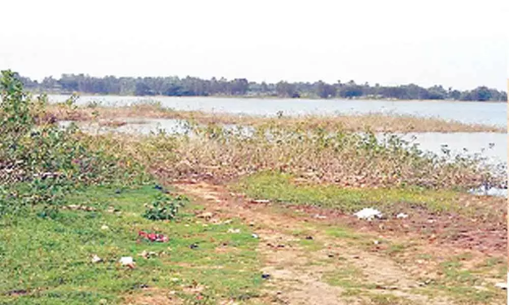The Heggere lake in Bannur taluk of Mysuru district spread over 462 acres is the largest water body in the taluk.