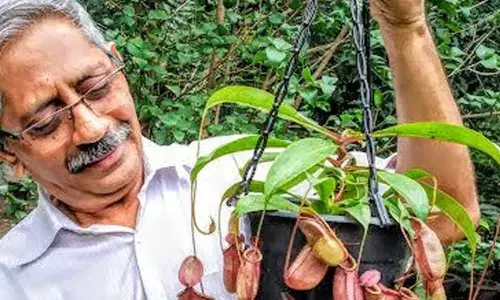 Founder-president of DNCS M Rama Murty explaining the features of insectivorous plants at Biodiversity Park in Visakhapatnam
